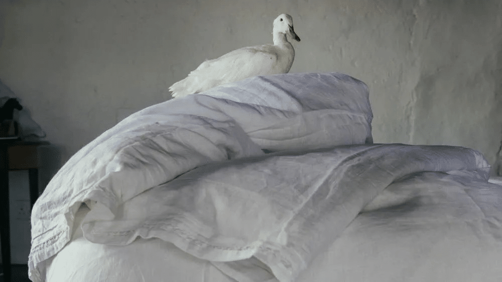 Guide to Linen Bedding